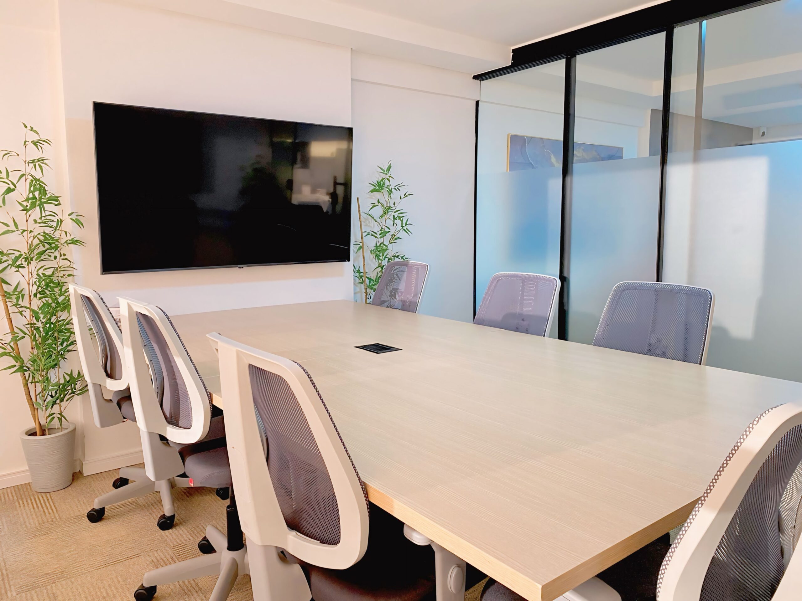 75C477F2-8780-41E1-A799-EB7FDF195B0F_L0_001-07_10_2024, 06_21_46