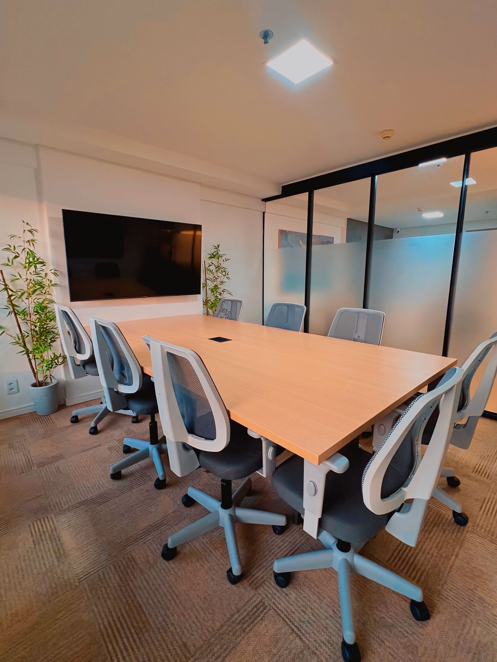 953113C8-9D38-4794-B9CA-31FA9C03E410_L0_001-30_04_2024, 11_07_12